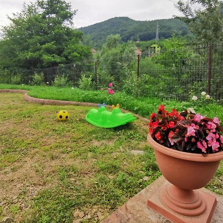 Casa Vio Guest House Нехою Екстериор снимка
