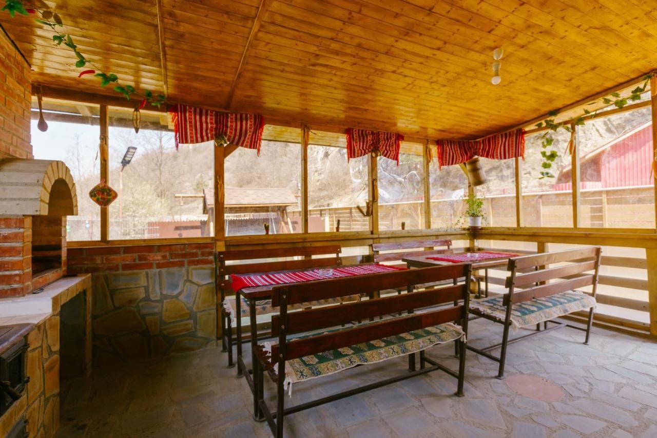 Casa Vio Guest House Нехою Екстериор снимка
