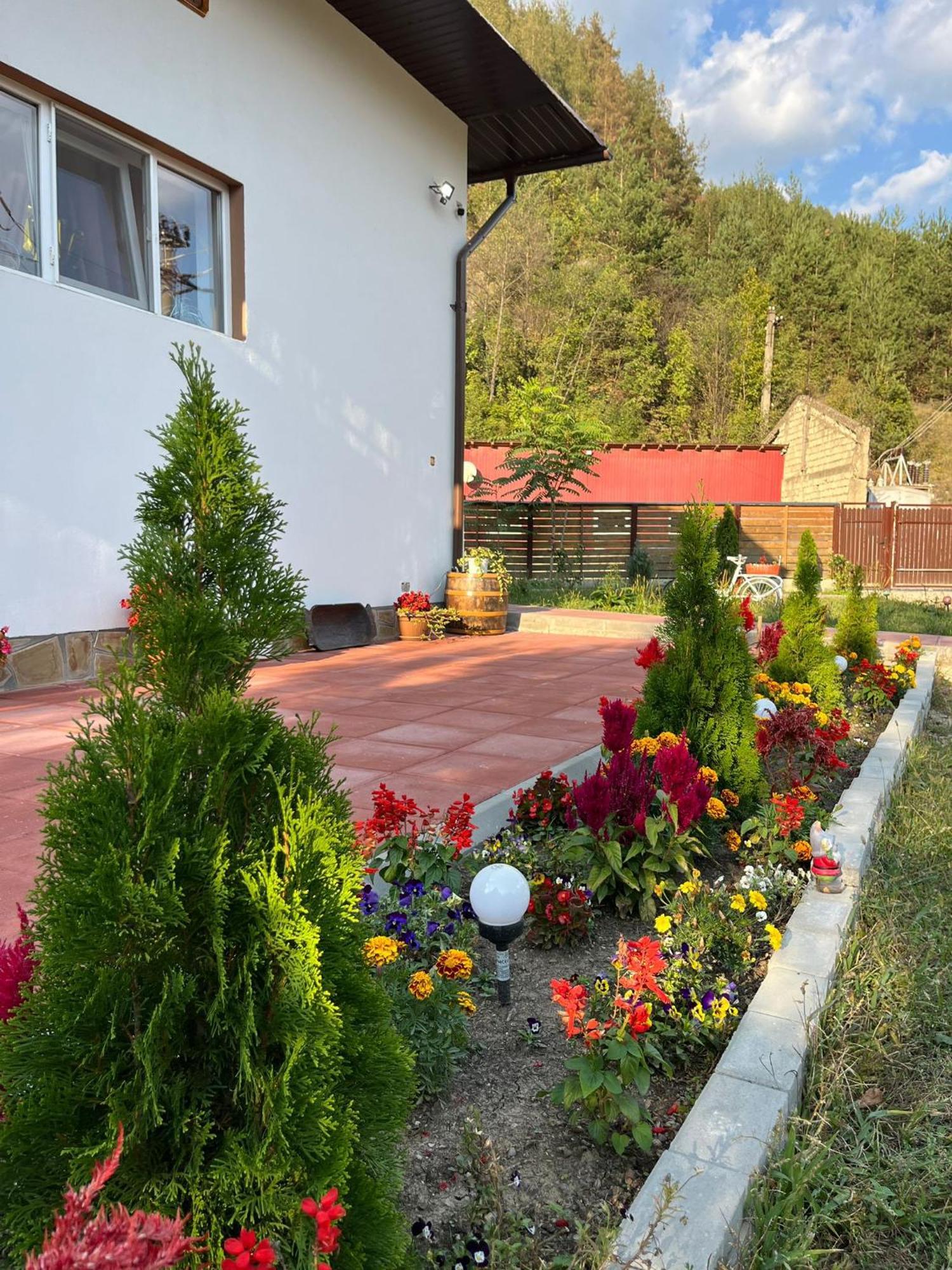 Casa Vio Guest House Нехою Екстериор снимка